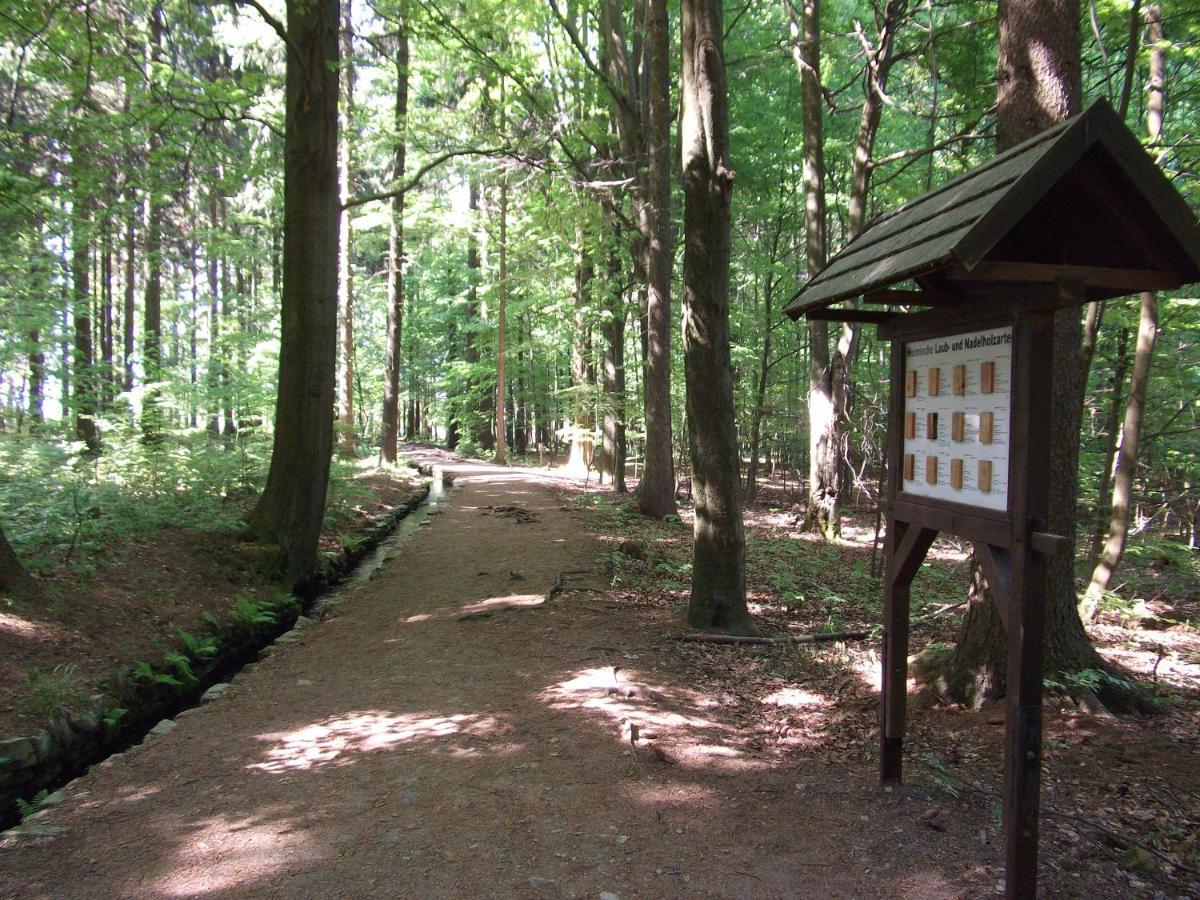 Ferienwohnung Erzgebirge - Pobershau - Mit Schoenem Ausblick, Ruhige, Beste Lage Экстерьер фото