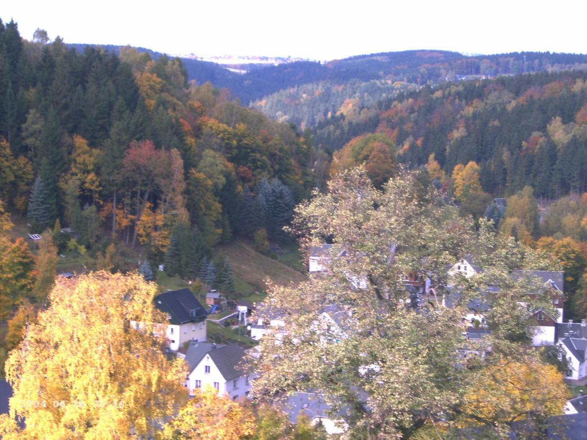 Ferienwohnung Erzgebirge - Pobershau - Mit Schoenem Ausblick, Ruhige, Beste Lage Экстерьер фото
